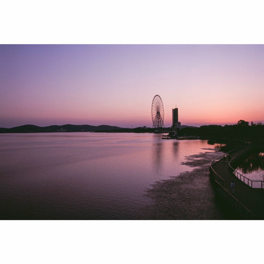 ReflxLab-100R-2.jpg
