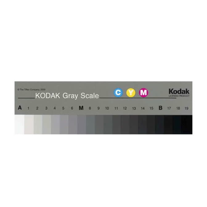 grayscale141.jpg
