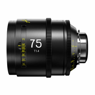 DZO-SAP75MPL.jpg