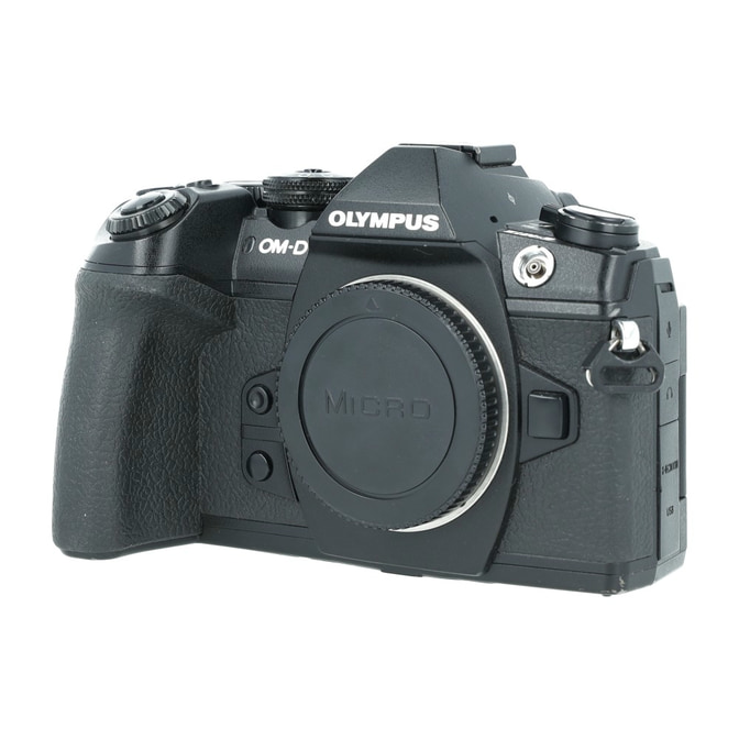 Olympus OMD em1 2_2.jpg