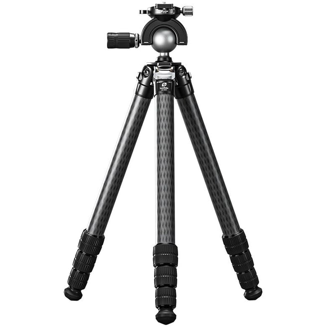 79409_20.jpg