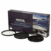 Hoya-Hoy504309.jpg