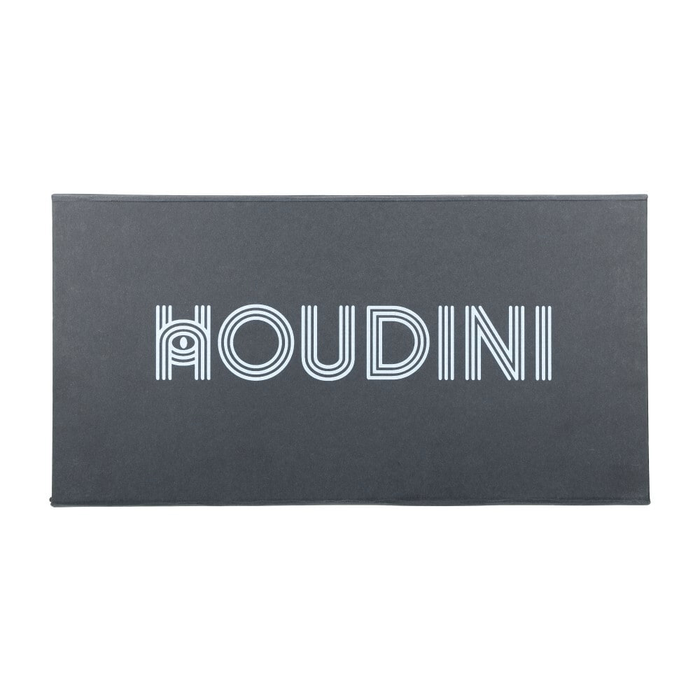 houdini_4.jpg