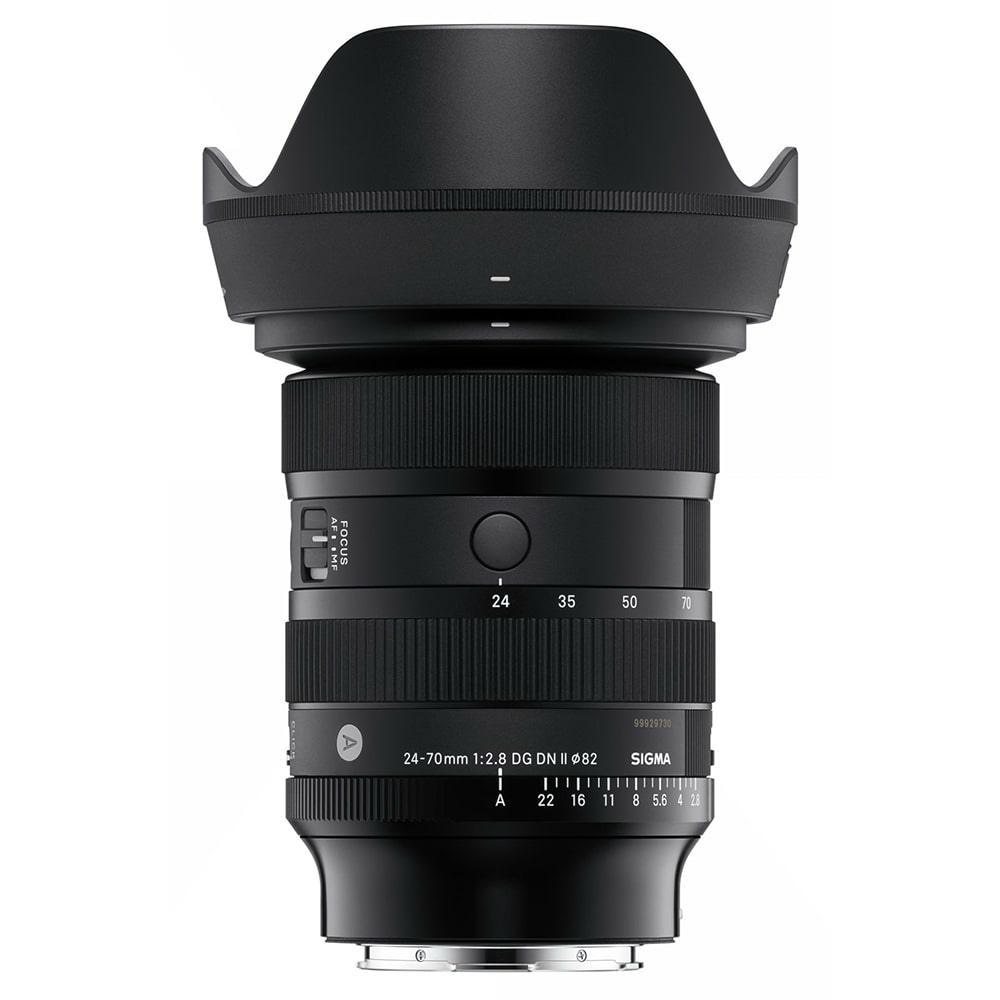 Sigma_2470f2.8_II_Art.jpg