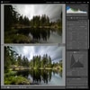 Lightroom_1_3_8.jpg