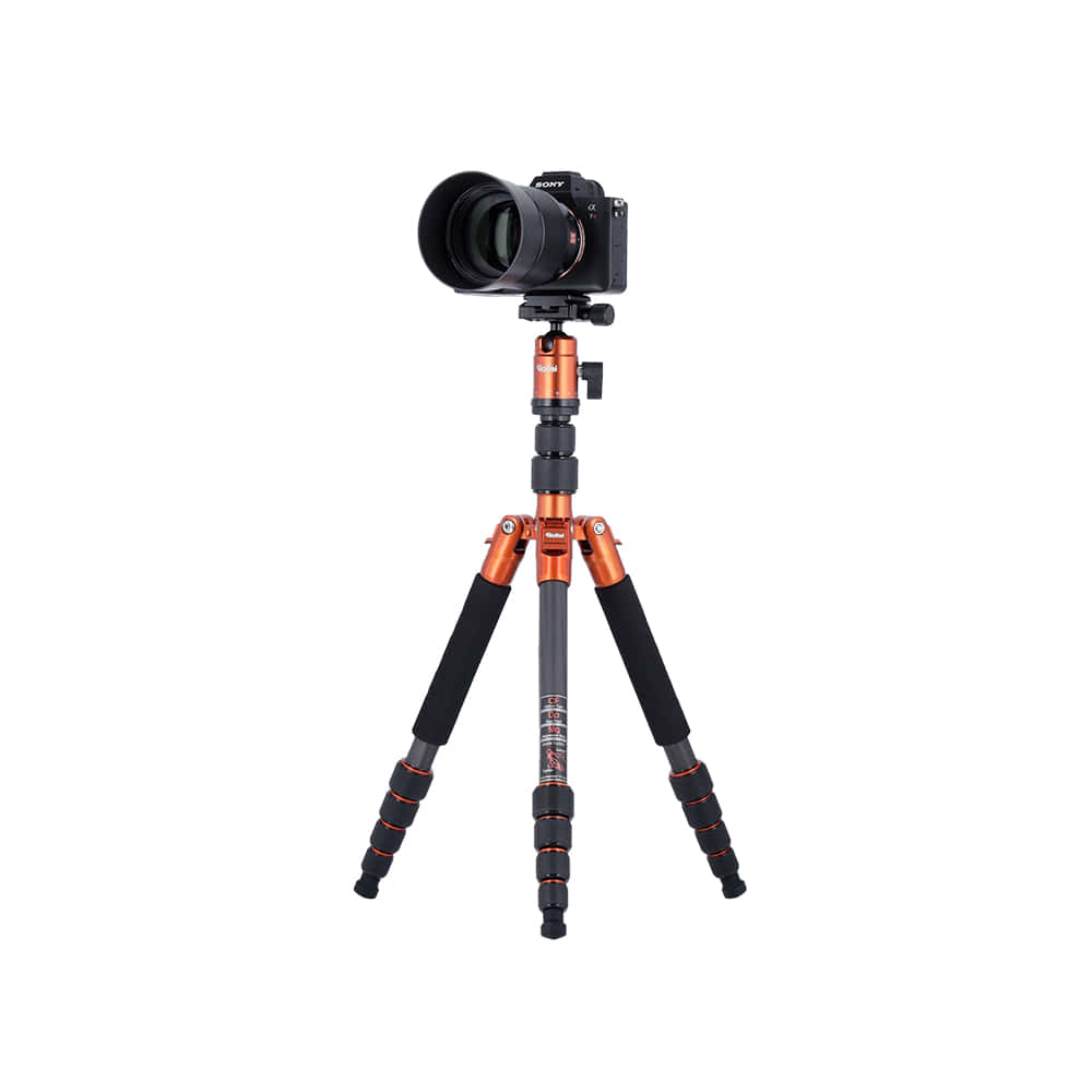 22579_CT_No1_Orange_Carbon_NEU_2026_09 Kopie.jpg