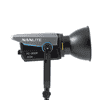 _0000_Nanlite-31-2014-002.jpg