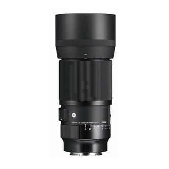 Sigma 105mm F2.8 DG DN Macro Art.jpg