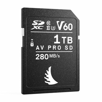02AVP1TSDMK2V60.jpg