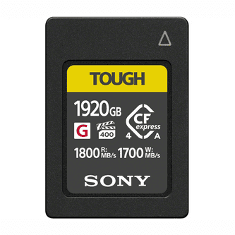 Sony-CEA-G1920T.jpg