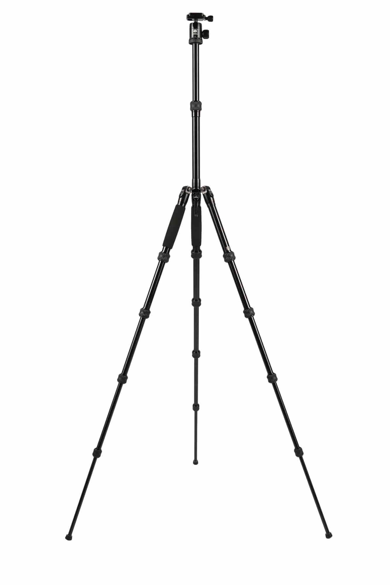 1000500-3.jpg