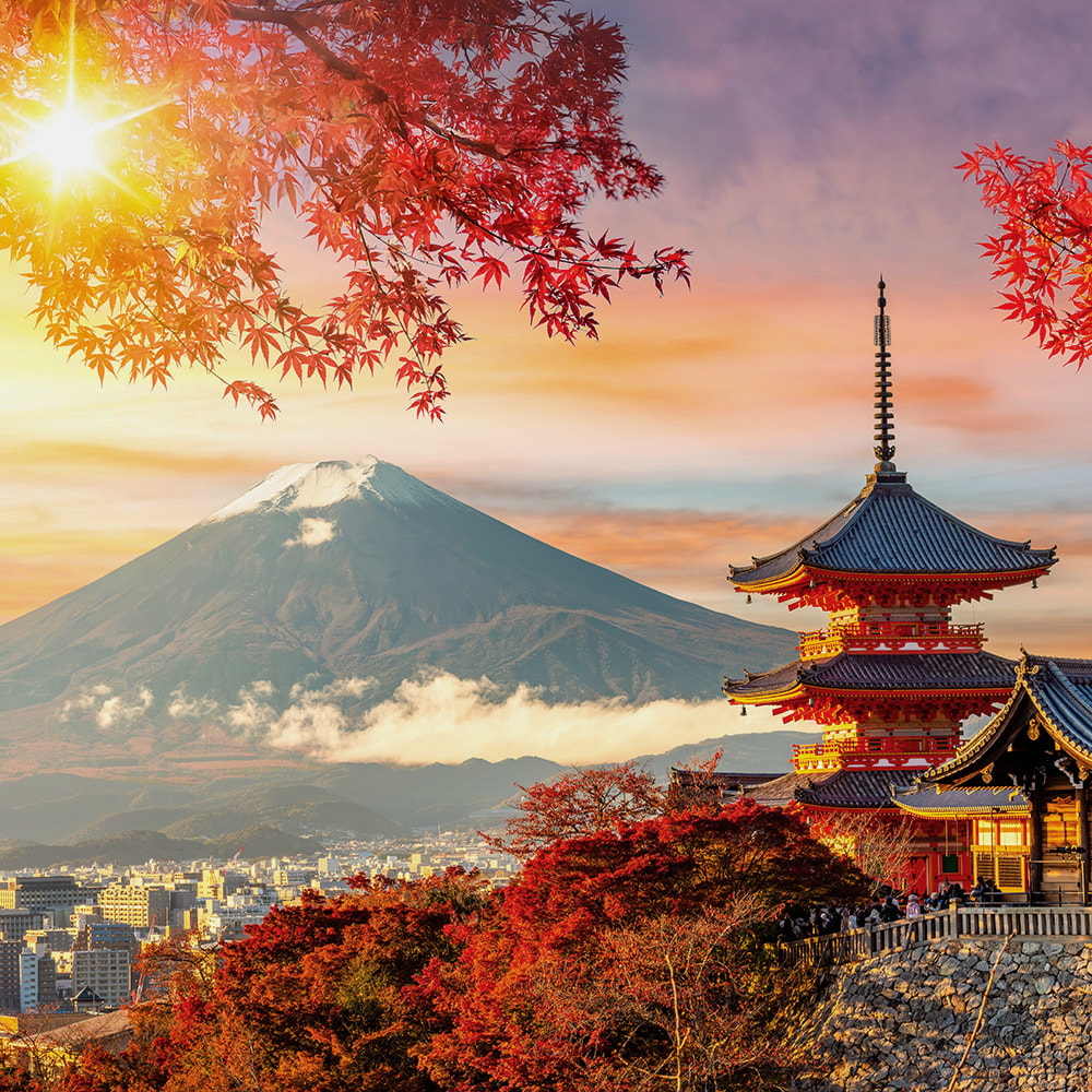 Fotoreise Japan | Fotomomente zwischen Tokyo und Osaka