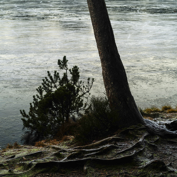 Etang_de_Gruere-8_1.jpg