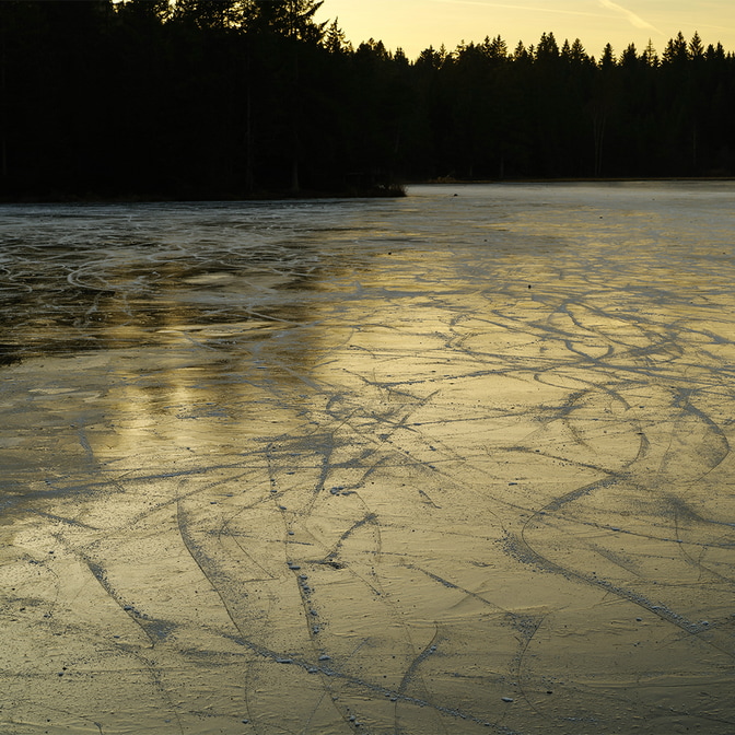 Etang_de_Gruere-7_1.jpg