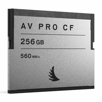 02AVP256CFSE.jpg