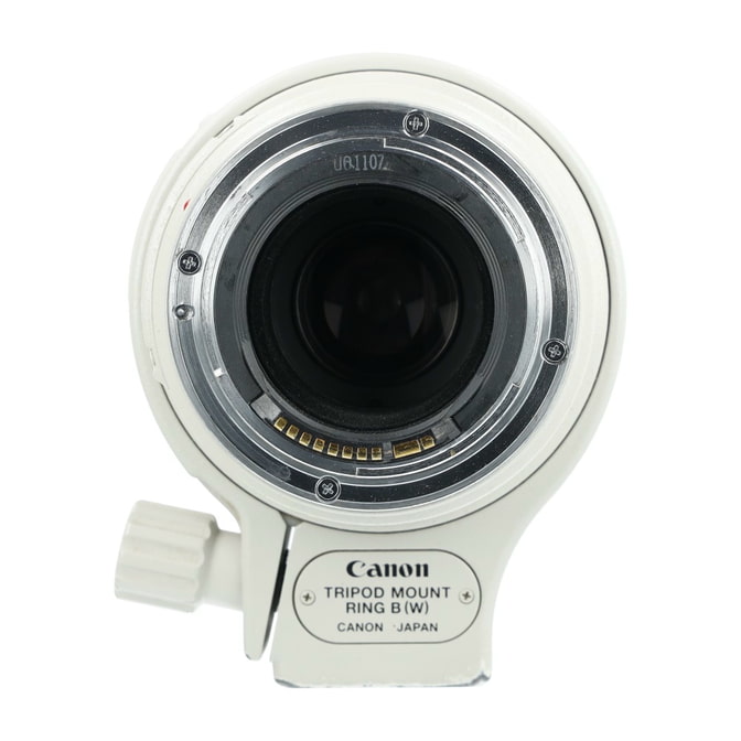 Canon EF 100-400mm F4.5-5.6 L IS USM_3.jpg