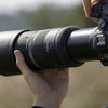 Canon_RF_600mm_05.jpg