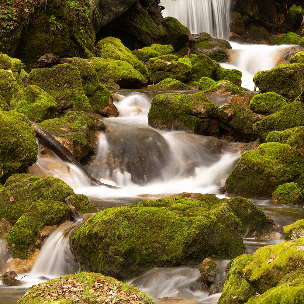 stack_twannback_wasser_2_2.jpg
