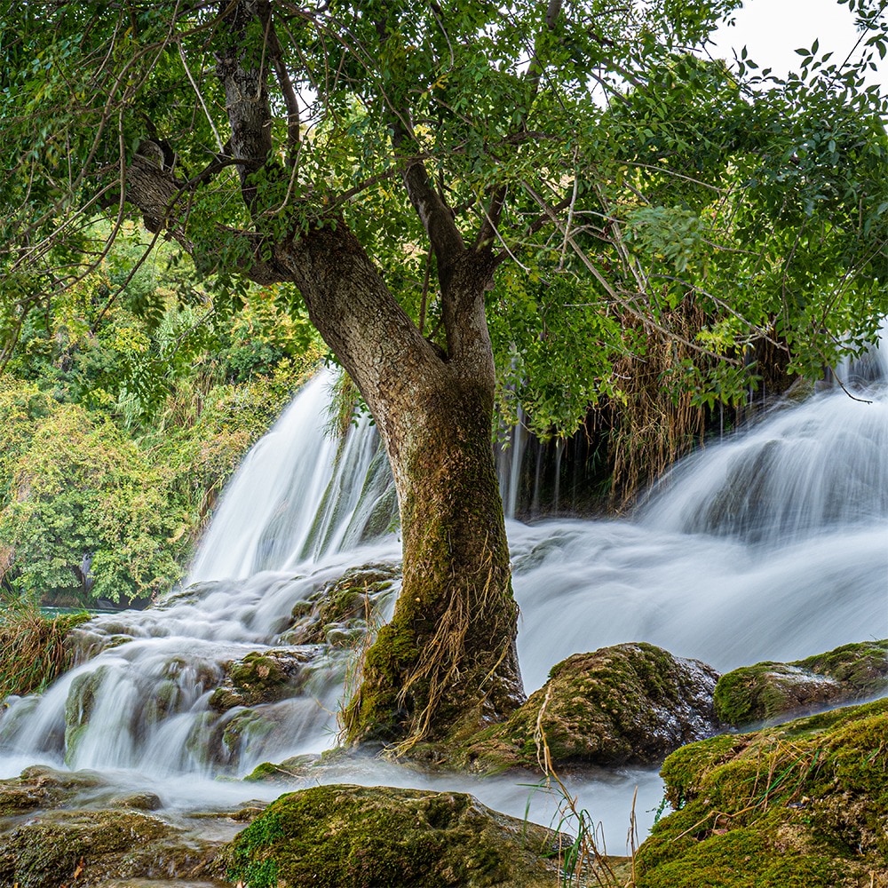Kreative Fotografie mit ND- und Verlaufsfiltern | Park im Grünen - Grün 80