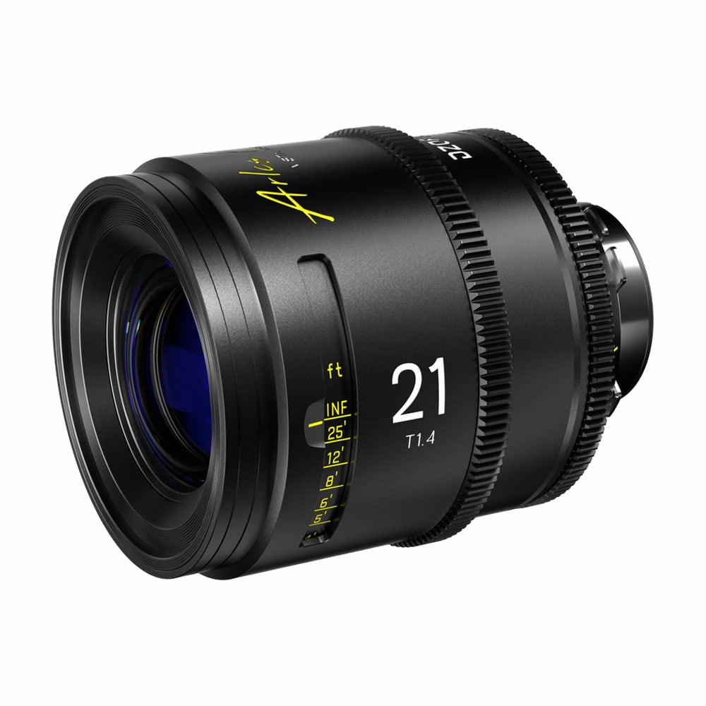 DZO-SAP21MPL-001.jpg
