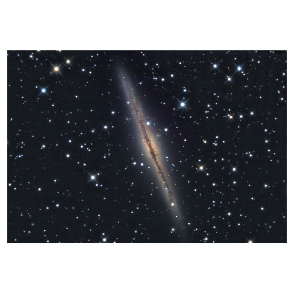 53813-0011.jpg