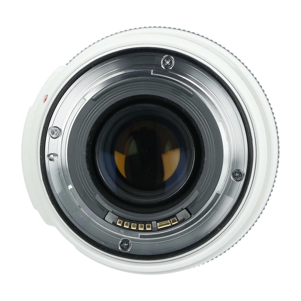 Canon EF 70-300mm F4-5.6 L USM_3.jpg