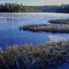 Etang_de_Gruere-3_1.jpg