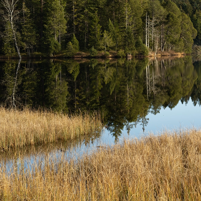 etang_6_9.jpg