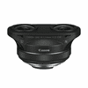Canon-39mm-35-Fish-01.jpg
