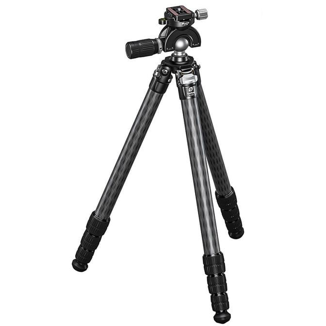 79407_10.jpg