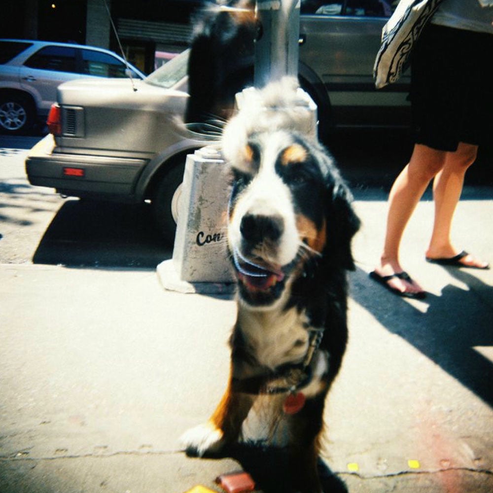 Lomo-hp700mrp-02.jpg