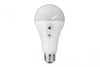 Zumirent Astera NYX Bulb