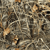 sssw80m4-000.jpg