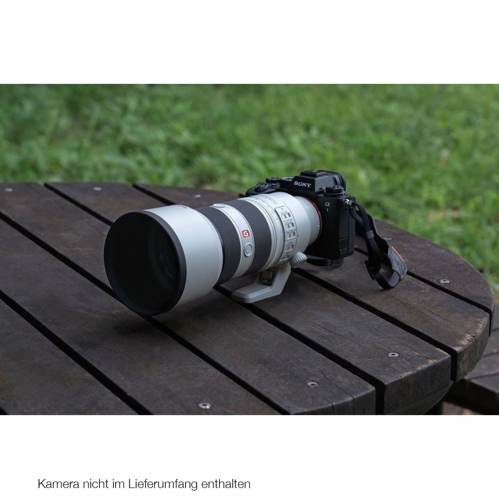 SonyGM_70-200II_03.jpg