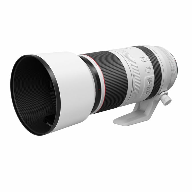 Canon_RF_100-500_06.jpg