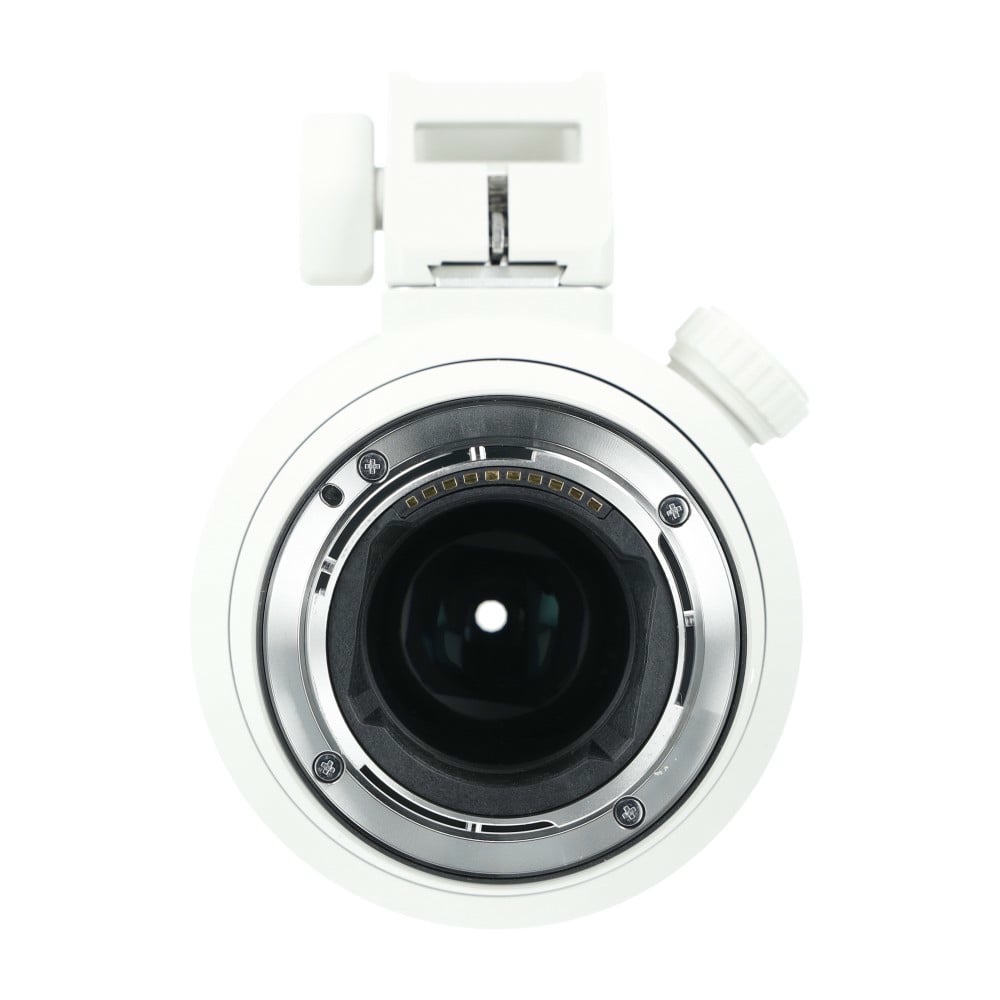 Sony FE 70-200mm f2.8 GM OSS II1_4.jpg