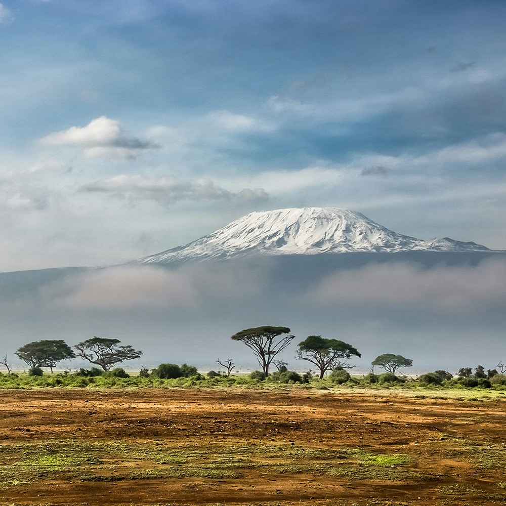 Fotoreise in die Serengeti | Die Big 5 in atemberaubender Natur