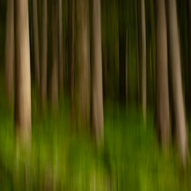 Wald_blurred_6.jpg