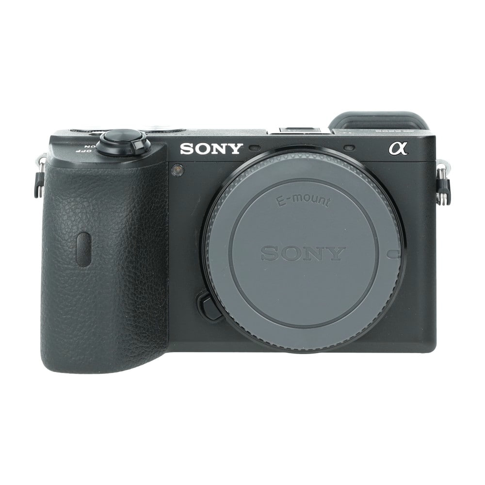 Sony A6600_1.jpg