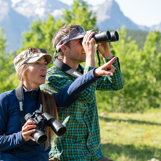 Nikon_Action_99_92.jpg