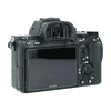 sonyaiii7_3.jpg