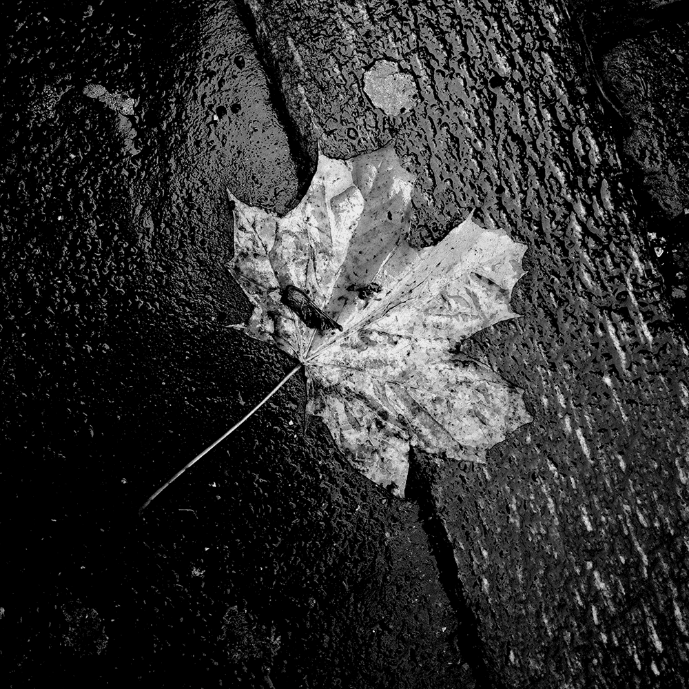 Street_BW_hart_10_5.jpg