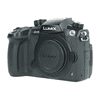 Panasinc Lumix GH5_2.jpg