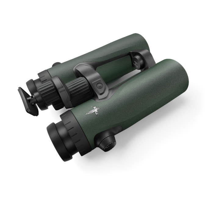 frr-2.jpg