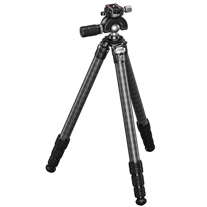 79407_10.jpg