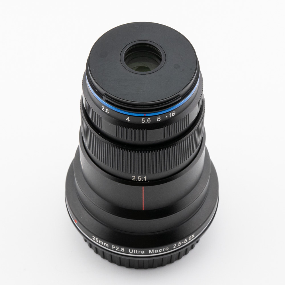26Occ176406-2.jpg