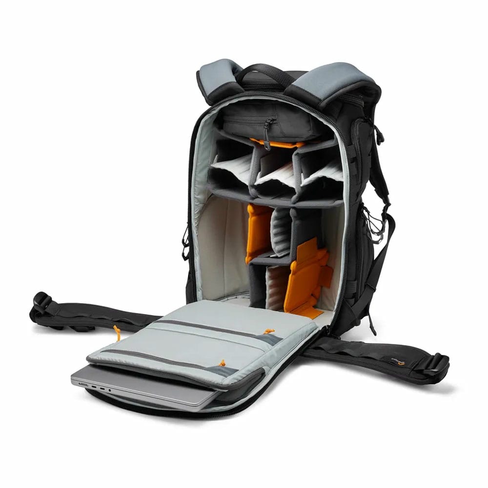 LP37505-PWW-002.jpg