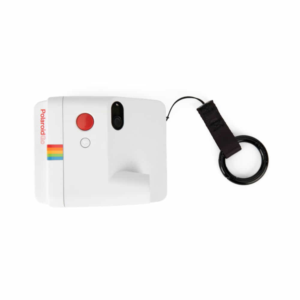 Polariod-39006156.jpg