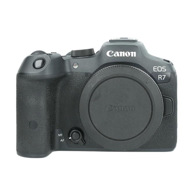Canon R6 1_1.jpg