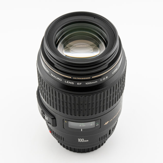 26Occ10035-2.jpg